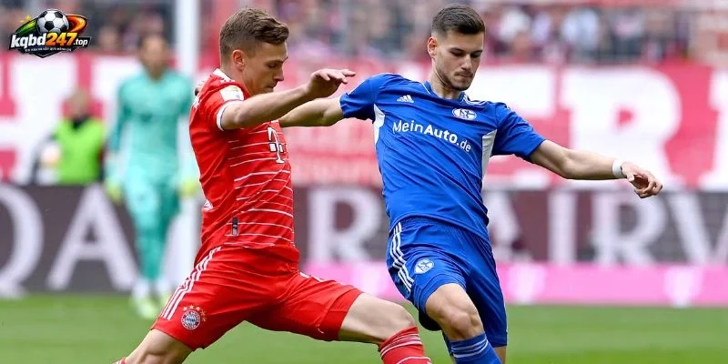 Tỷ Lệ Kèo Schalke 04 Vs Bayern Munich - Bundesliga, 05/09/2026 3 Đánh giá bảng kèo bóng đá