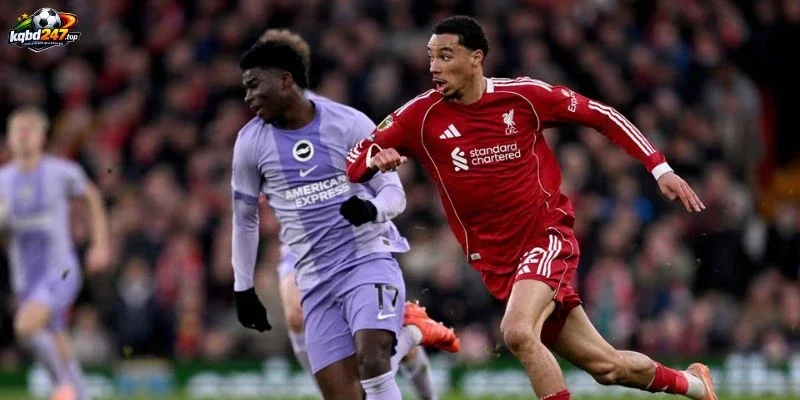 Lực lượng dự kiến Liverpool vs Brighton