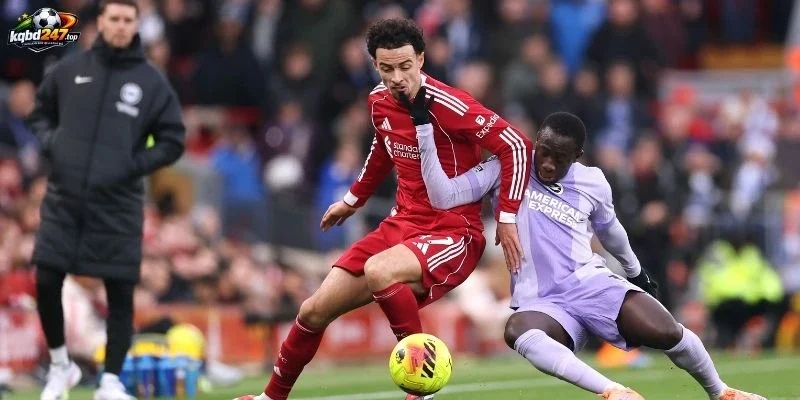 Tình hình ra sân của Liverpool vs Brighton dạo gần đây